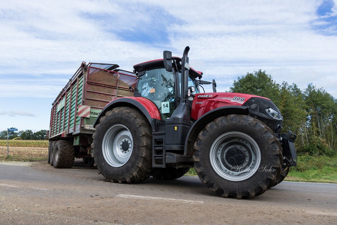 Bild 148 - Maisernte